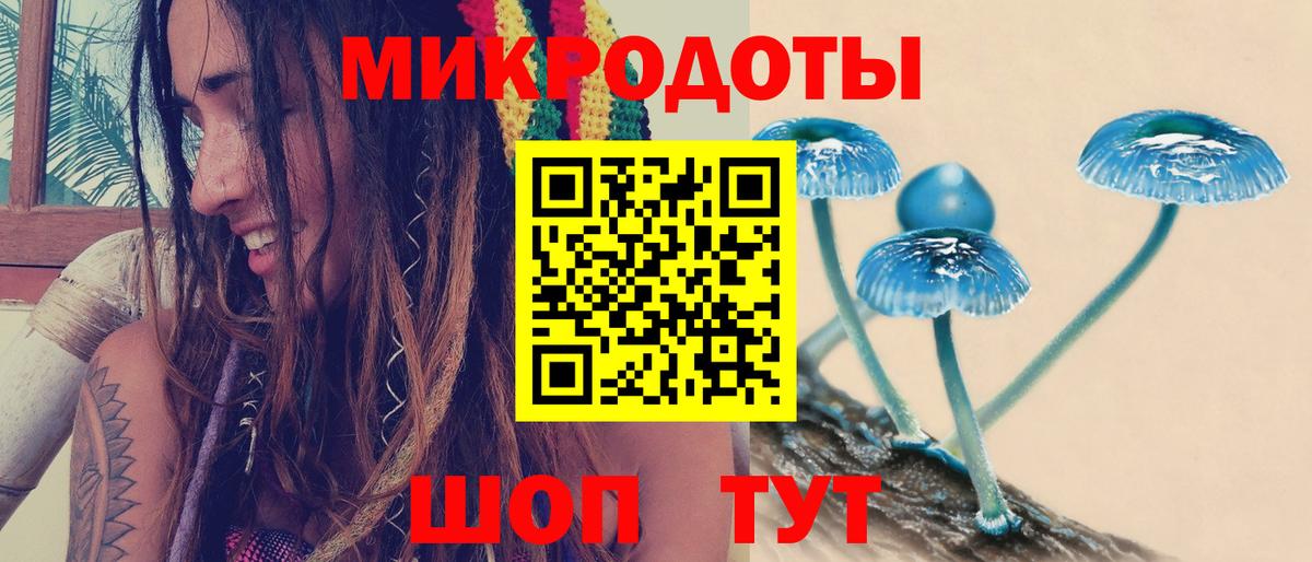 Галлюциногенные грибы MAGIC MUSHROOMS Курчалой
