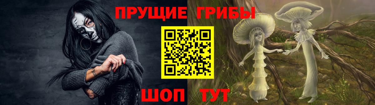 Псилоцибиновые грибы прущие грибы  Галлюциногенные грибы MAGIC MUSHROOMS  Курчалой  Вход с VPN 